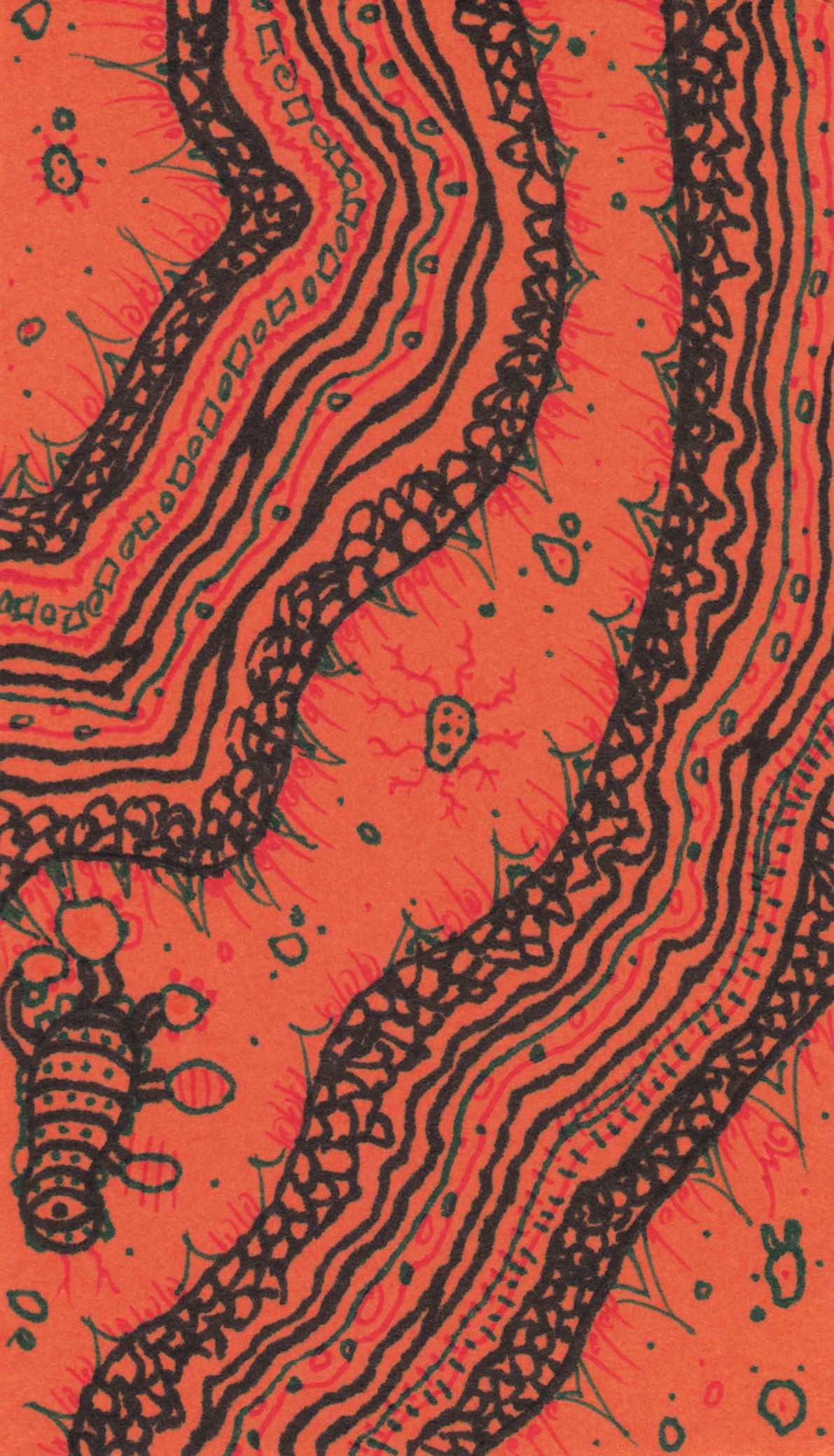 Teal, pink, and black design on Pumpkin Orange card.